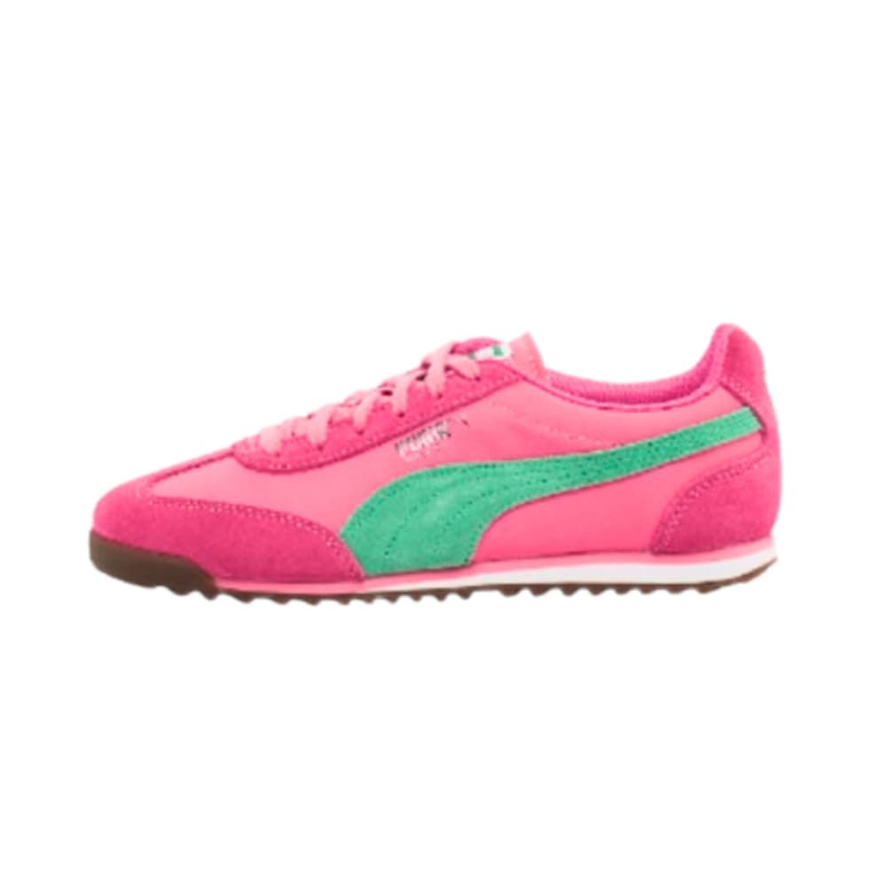 puma4